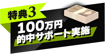 特典3 100万円的中サポート実施